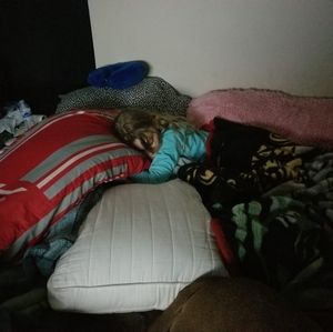 Meet your Posher, David